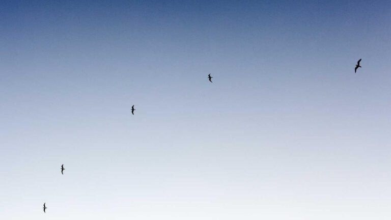 Why Is 99Exch Account Kyc Mandatory For Withdrawal?